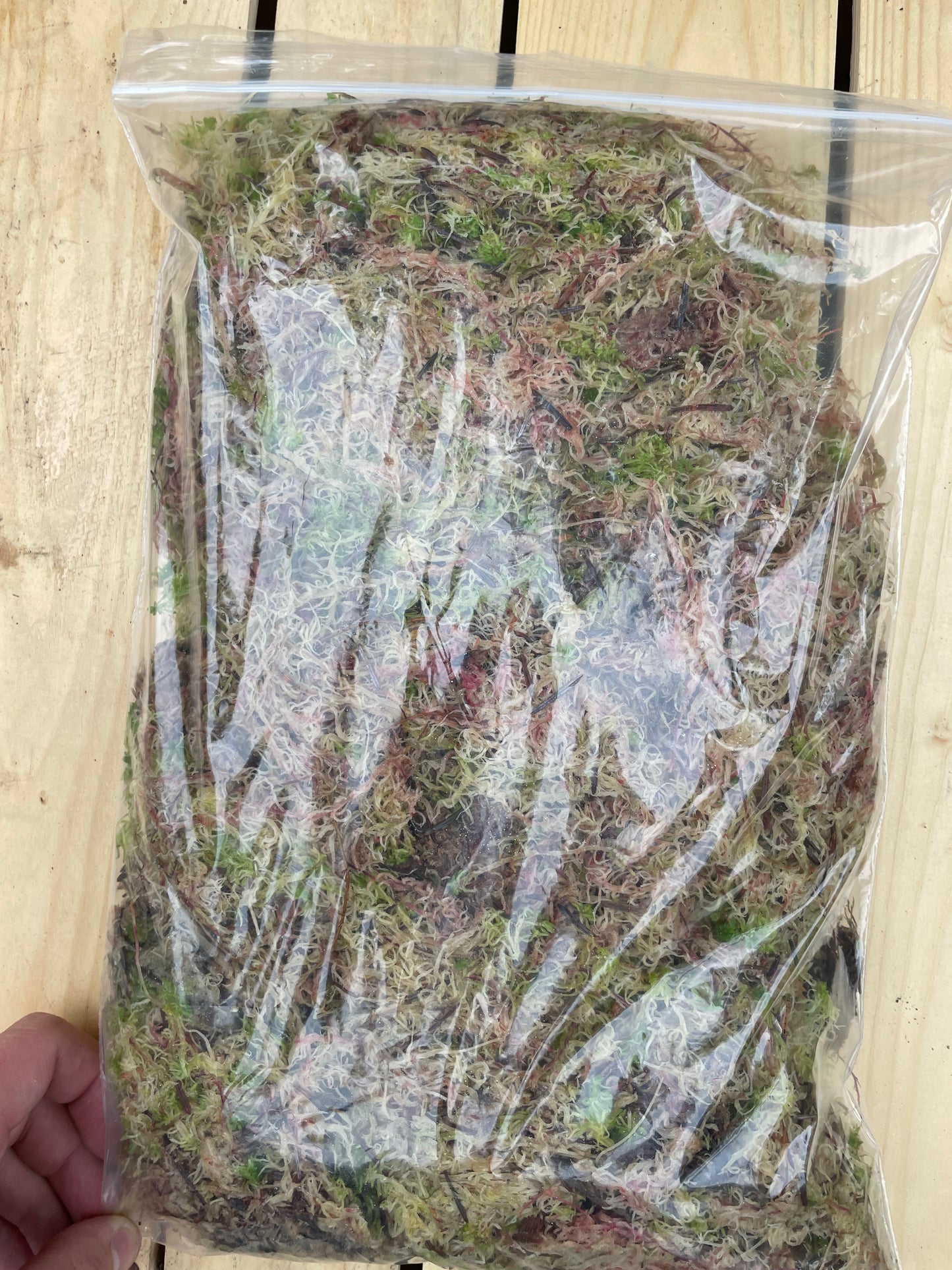 Sphagnum Moss 6L