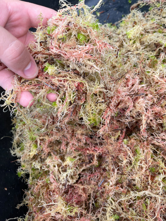 Sphagnum Moss 6L