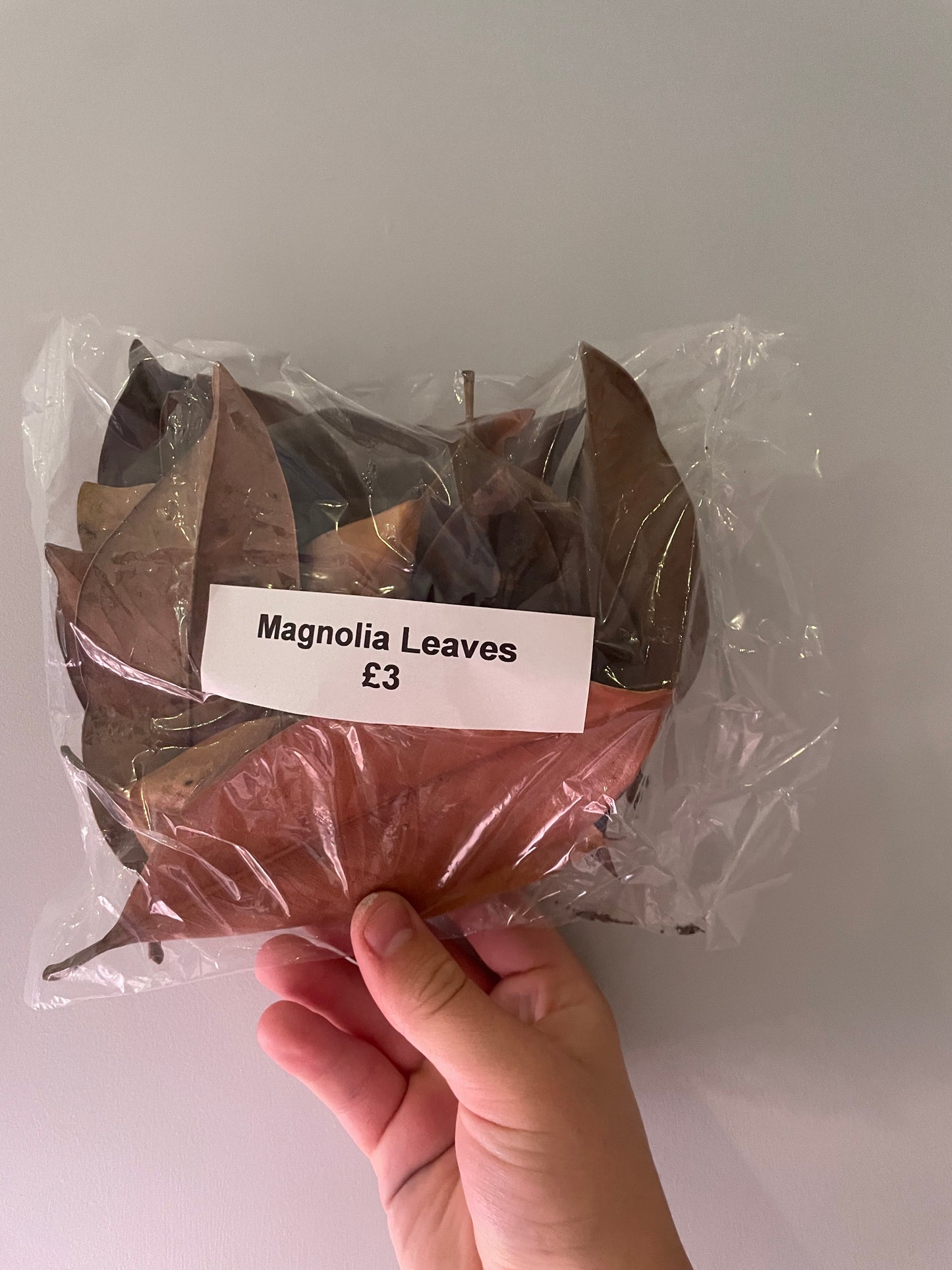 Magnolia Leaves (Dried)