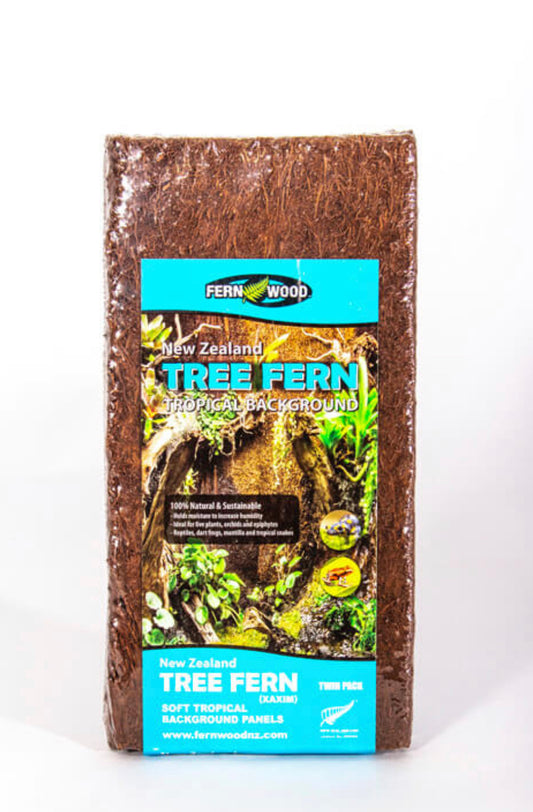 Tree Fern Panels-small