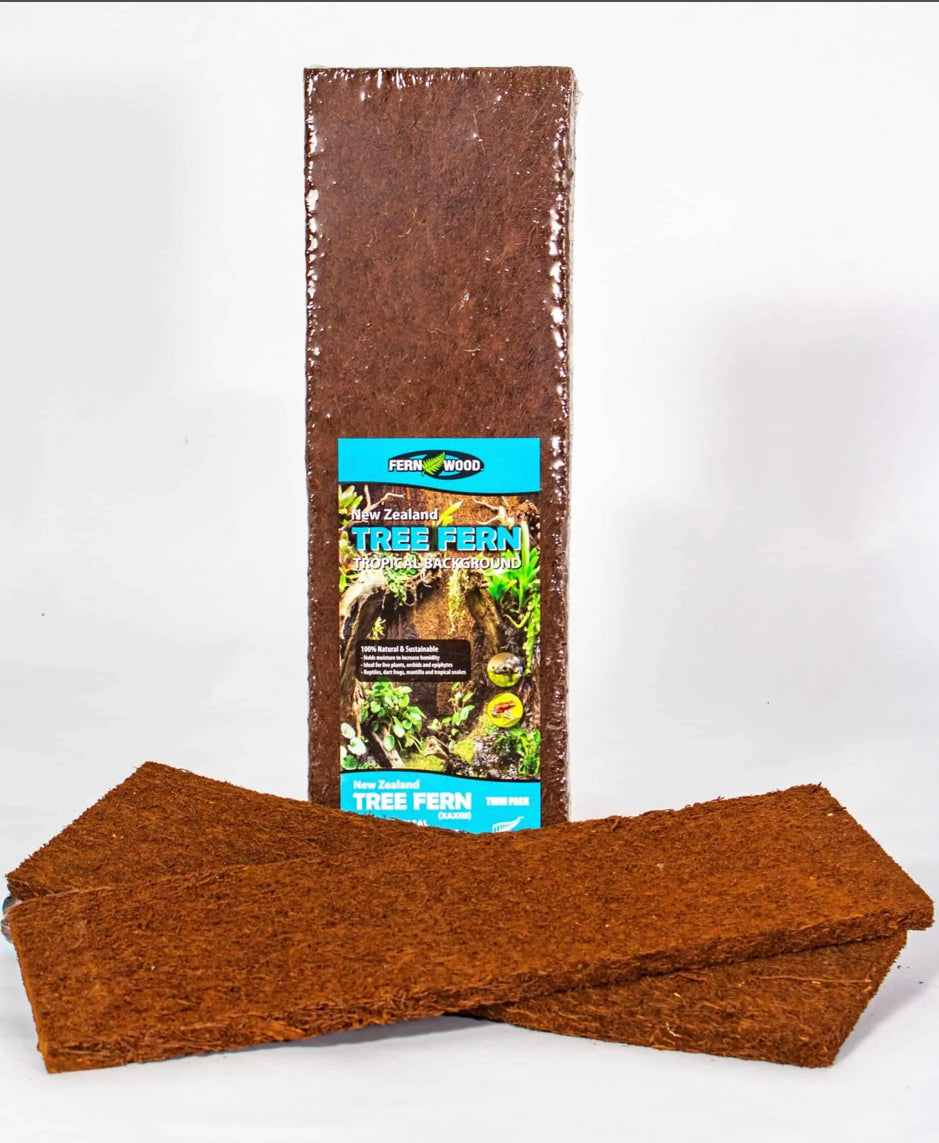 Large Tree Fern Panels. 50x20x1.5cm Twin Pack